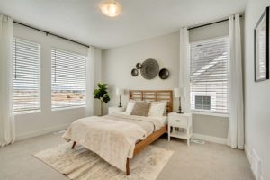 The Innovator 2nd Bedroom Daybreak Contempo Collection Cascade Village